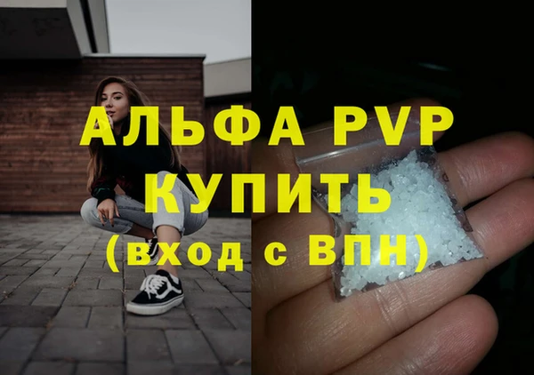 гашик Новодвинск