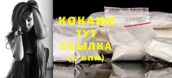 гашик Новодвинск