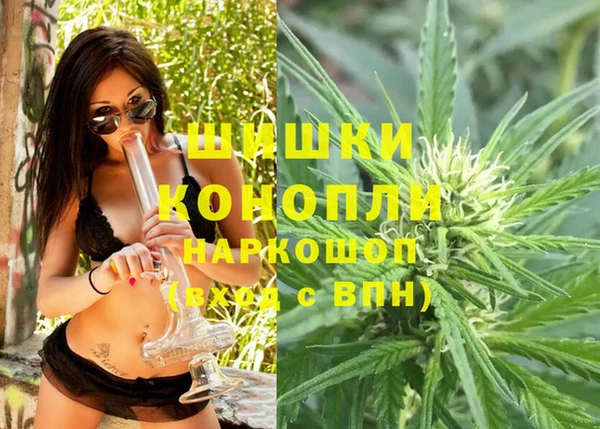 гашик Новодвинск