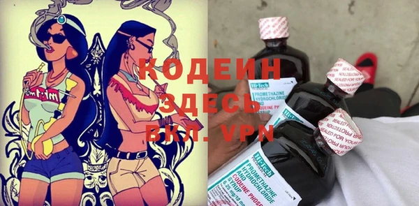 хмурый Анива