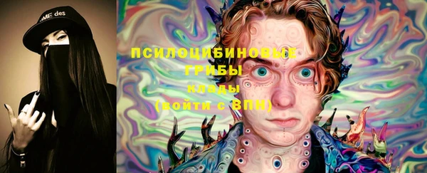 гашик Новодвинск