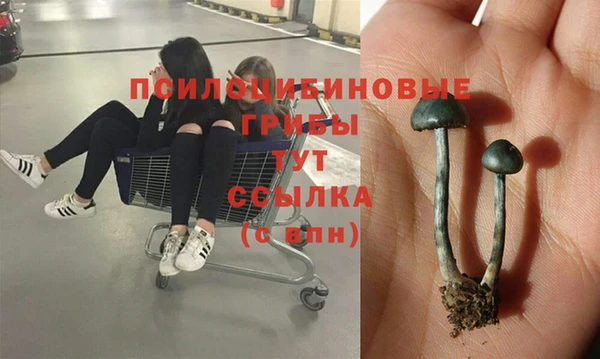 гашик Новодвинск
